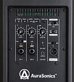 AuraSonics SOLO D15 активная акустическая система 