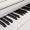 ROCKDALE Sonata White цифровое пианино, цвет белый
