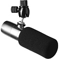 Earthworks Ethos студийный суперкардиоидный микрофон для подкастеров, блогеров и стримеров