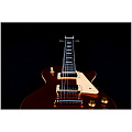 JET JL-500 GD Электрогитара шестиструнная, корпус Les Paul