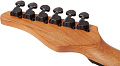 Schecter PT STANDARD BFBB Электрогитара, 6 струн, цвет Black Fade Burst Burl