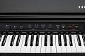 KURZWEIL CUP G1W BP Цифровой рояль, цвет черный