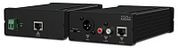 Audac APG20MK2 Приемник линейного и микрофонного аудиосигналов из витой пары