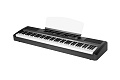 Ringway RP-60 BLK Цифровое пианино, цвет черный
