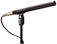 AUDIO-TECHNICA BP4029 Репортерский микрофон-пушка