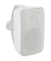 SVS Audiotechnik PAF-80NW PRO трансляционная акустическая система 