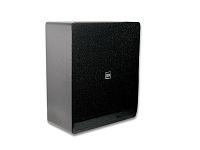 SVS Audiotechnik PAF-10S Black Пассивный сабвуфер 
