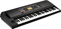 KORG EK-50 L синтезатор с автоаккомпанементом 61 клавиша, полифония 64 голоса, подставка для нот