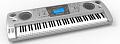 Ringway TB5200 Синтезатор, динамическая клавиатура c 76 клавишами, педали подключаемые