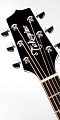 TAKAMINE LEGACY EF341SC электроакустическая гитара с кейсом