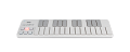KORG NANOKEY2-WH портативный USB-MIDI-контроллер, 25 чувствительных к нажатию клавиш. Цвет белый.