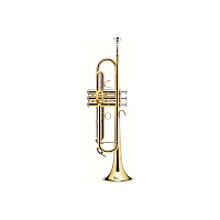 B&S BS210-1-0 Prodige труба Bb, латунь, лакированная, с чехлом, 11,68/123