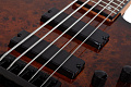Schecter C-5 STANDARD TB Бас-гитара, 5 струн, цвет TOBACCO BURL