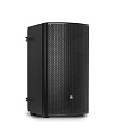 AuraSonics SOLO D12 активная акустическая система 