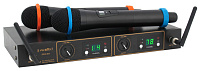 PROAUDIO DWS-804HT  Радиосистема с двумя ручными микрофонами