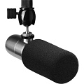 Earthworks Ethos студийный суперкардиоидный микрофон для подкастеров, блогеров и стримеров