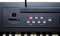 Ringway RP-20 Цифровое фортепиано. Клавиатура: 88 полноразмерных динамических молоточковых клавиш