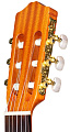 CORDOBA PROTÉGÉ C1 классическая гитара, топ ель, дека махагони, цвет натуральный, отделка глянец