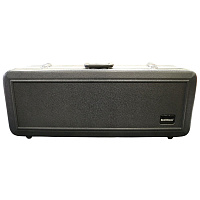 Wisemann ABS Tenor Sax Case WABSTSC-1  кейс-кофр для тенор-саксофона, ABS пластик