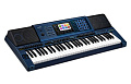 Casio MZ-X500  синтезатор с автоаккомпанементом, 61 клавиша, 128-голосная полифония, 1100 тембров, 330 стилей