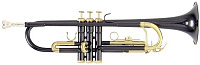 ROY BENSON TR-101К Bb труба (цвет черный-золото)