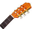 CORDOBA PROTEGE C1M классическая гитара, корпус махогани, верхняя дека ель, цвет натуральный, покрытие матовое