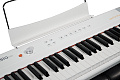 Artesia Performer White Цифровое фортепиано. 88 клавиш, цвет белый