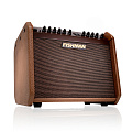 Fishman PRO-LBC-EU5  LoudBox Mini Charge комбо для акустической гитары, 60 Вт