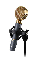 AuraSonics LENS32 студийный микрофон