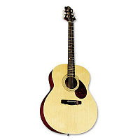 Greg Bennett GJ100S/N  Акустическая гитара, корпус "джамбо", ель, цвет натуральный