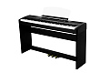 Ringway RP-60 BLK Цифровое пианино, цвет черный