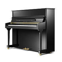 Pearl River EU118 (A111) акустическое пианино, высота 118 см, цвет черный полированный