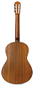CORDOBA IBERIA C3M, классическая гитара, топ кедр, дека махагони, цвет натуральный, матовая обработка