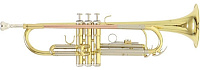 ROY BENSON TR-202 Bb труба, цвет золото
