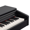 ROCKDALE ETUDE 256 BK цифровое пианино, цвет черный