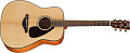 YAMAHA FG800MN акустическая гитара, цвет MATTE NATURAL