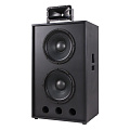 EUROSOUND CE-215B заэкранная акустическая система 