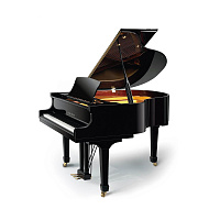 Pearl River GP148 (A111)  рояль, длина 148 см, цвет черный (полированный), золотая фурнитура