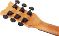 Schecter Solo-II Standard BB Электрогитара, 6 струн, цвет BLOODBURST