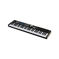 Arturia KeyLab Essential 61 mk3 Black MIDI клавиатура 
