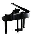 KURZWEIL KAG100 EP цифровой рояль, цвет черный