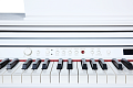 Artesia DP-30 White Цифровое фортепиано, цвет белый