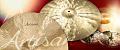 Sabian 14" Artisan Hi-Hats  тарелка Hi-Hat (пара)