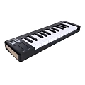 Arturia MicroLab mk3 Black MIDI клавиатура