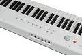 Artesia Performer White Цифровое фортепиано. 88 клавиш, цвет белый