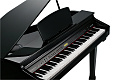 KURZWEIL KAG100 EP цифровой рояль, цвет черный