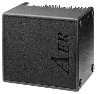 AER Domino 2.a  комбоусилитель для акустических инструментов, 2x60 Вт, 4 канала