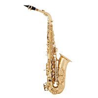 Arnolds&Sons AAS-110YG  саксофон альт Eb студенческий, верхний клапан F#, съемный раструб, желтая латунь, лак