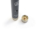 AuraSonics AP22-MP подобранная пара инструментальных микрофонов