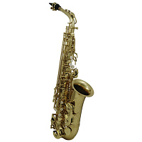 ROY BENSON AS-202 Eb альт-саксофон, в комплекте мундштук, лигатура, колпачок, 2 трости Gonzalez, гайтан, мягкая протирка, рюкзак﻿